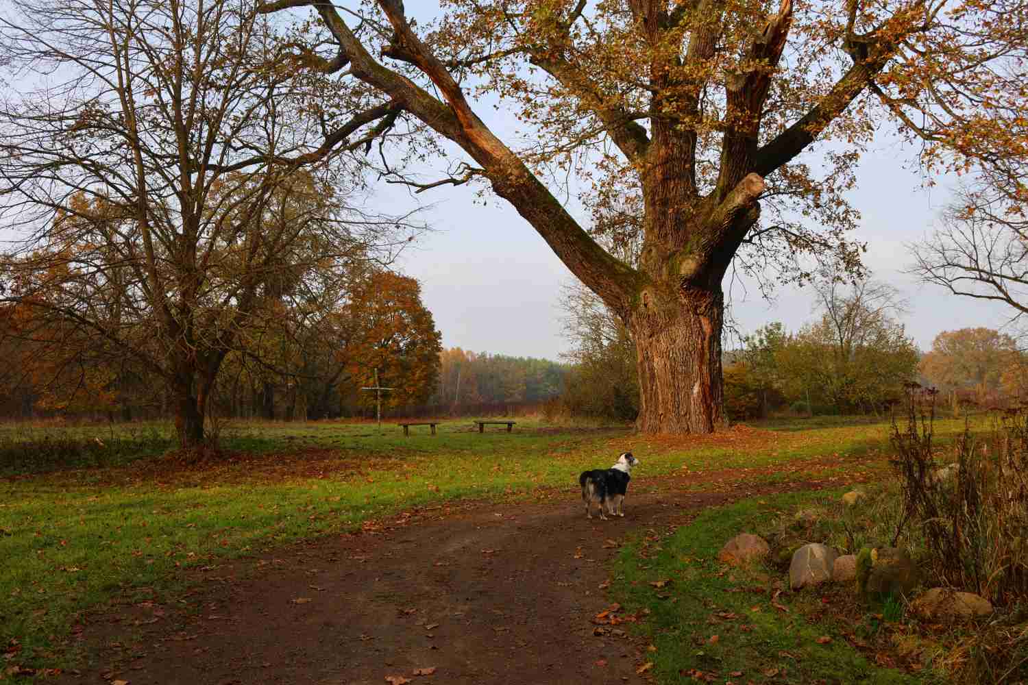 Dorfverein Reetz, Forsthaus Zipsdorf