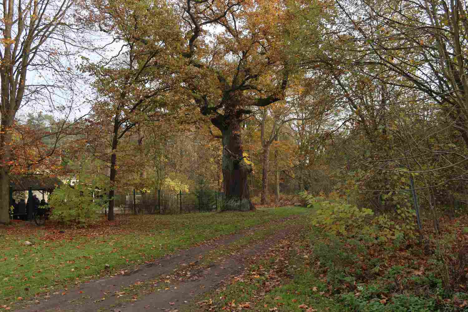 Dorfverein Reetz, Forsthaus Zipsdorf