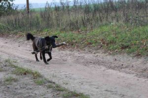 Dorfverein Reetz, Forsthaus Zipsdorf