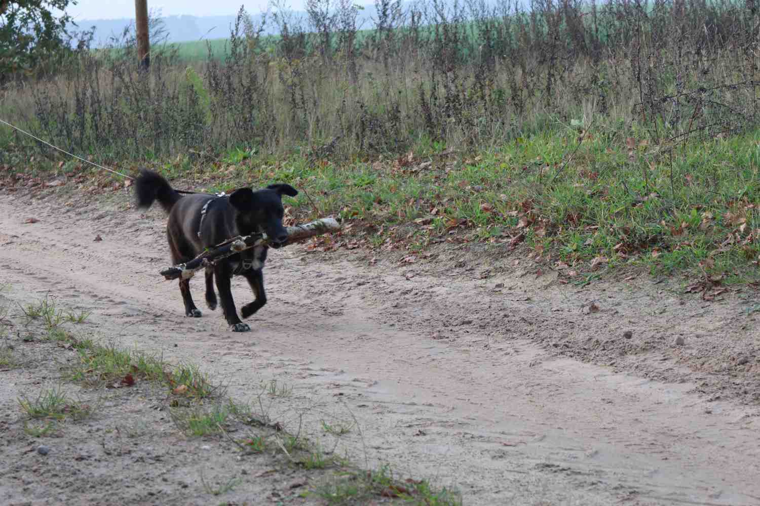 Dorfverein Reetz, Forsthaus Zipsdorf