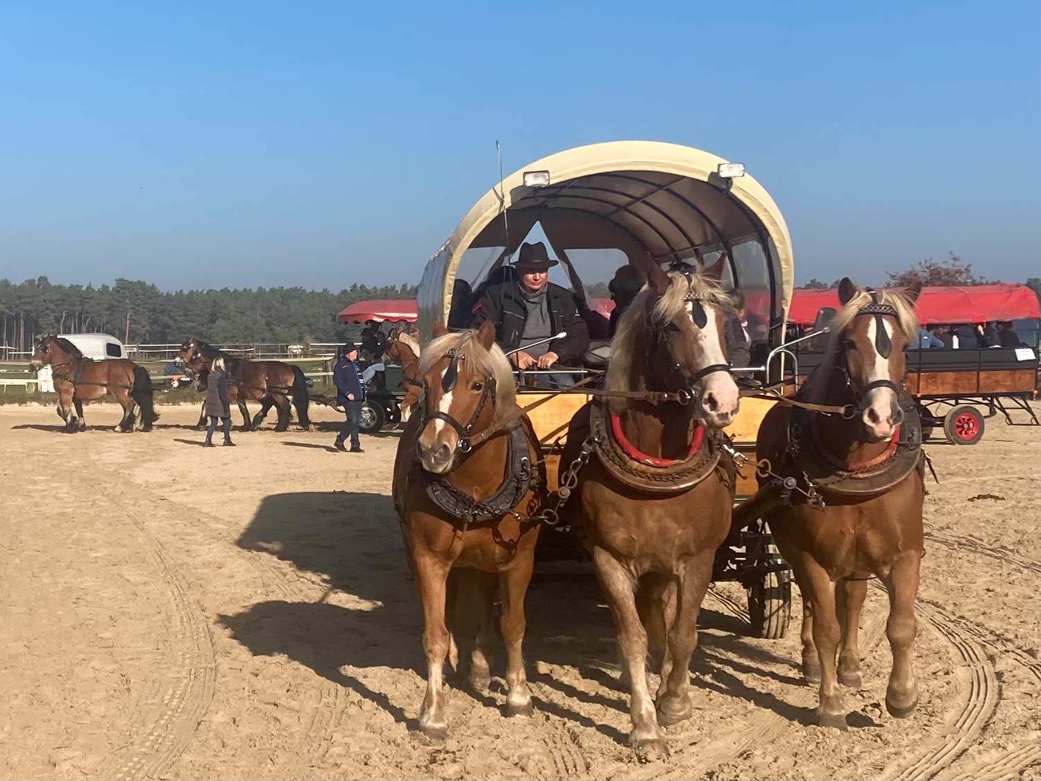 RFV Niederwerbig, Jeserig, Reitjagd, Dreispänner, Seehausen