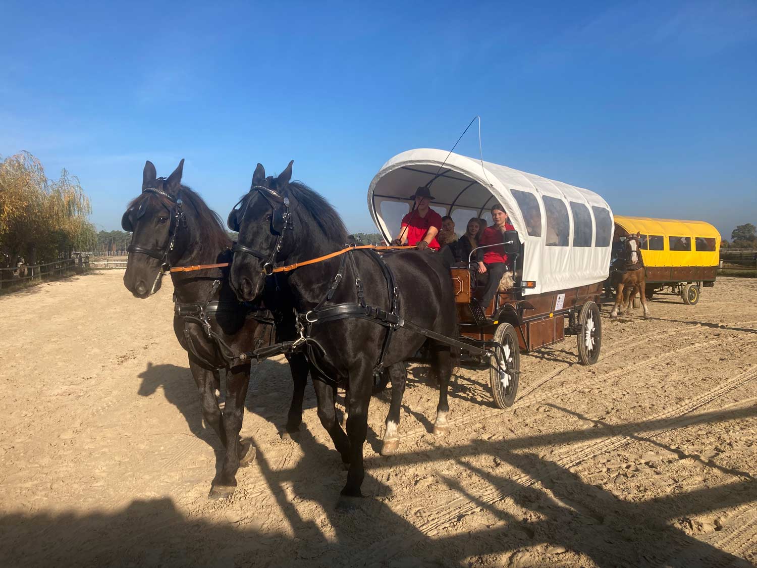 RFV Niederwerbig, Jeserig, Reitjagd, Warmblütern