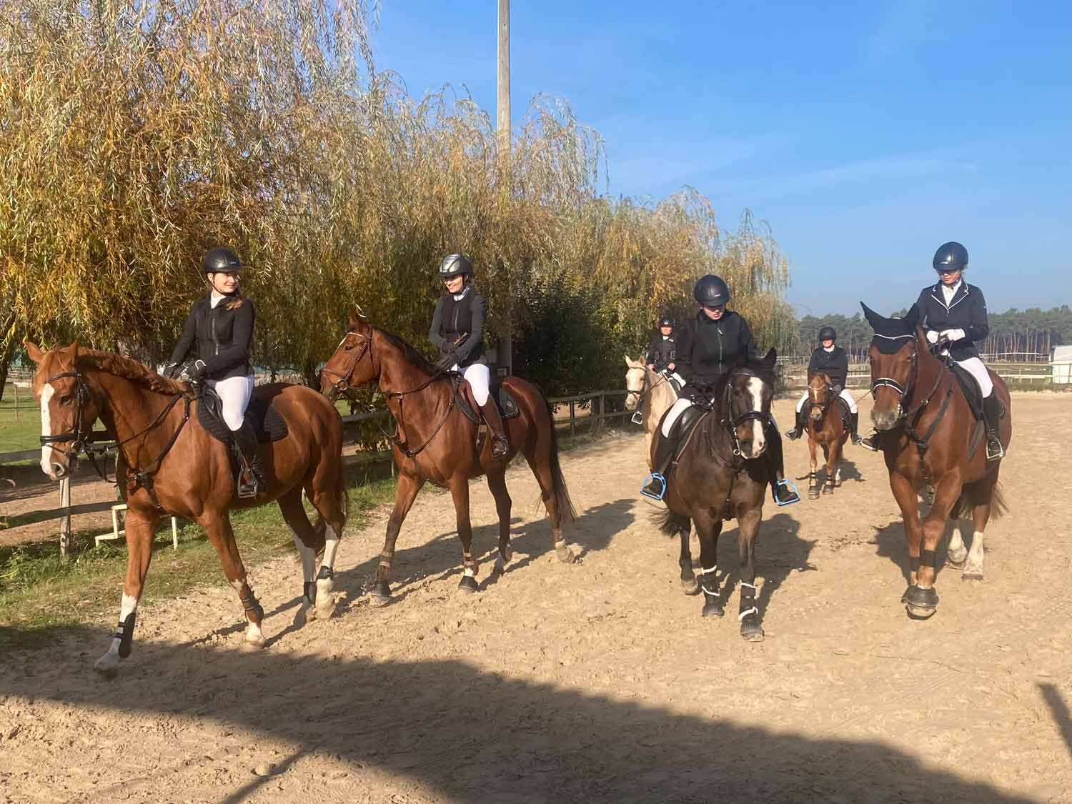 RFV Niederwerbig, Jeserig, Reitjagd