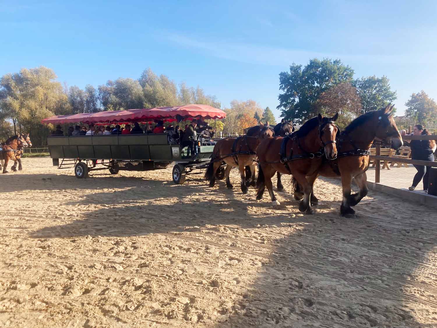 RFV Niederwerbig, Jeserig, Reitjagd, Vierspänner