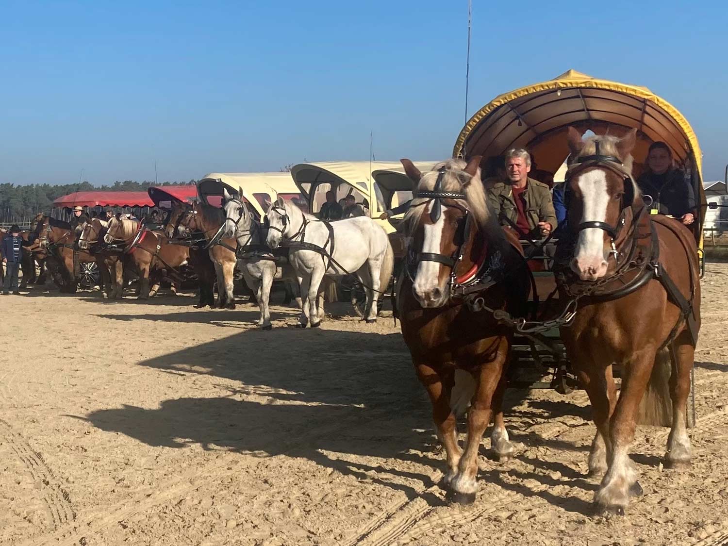 RFV Niederwerbig, Jeserig, Reitjagd, Kremser