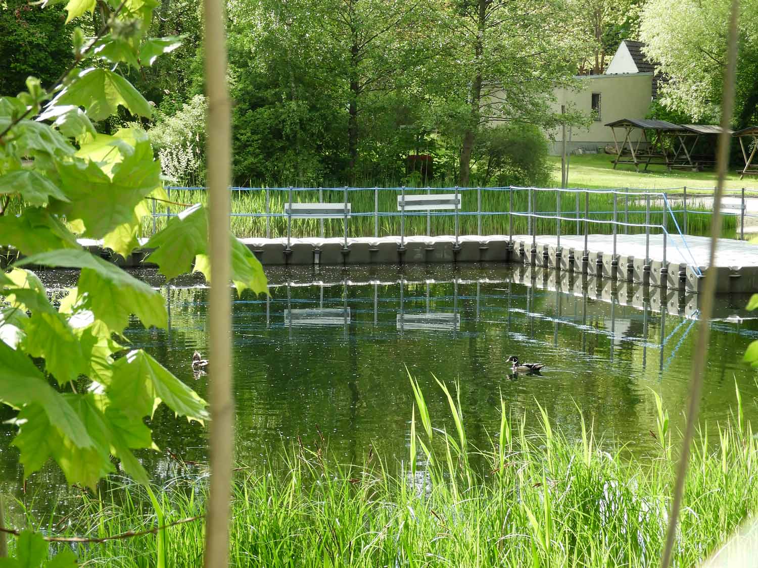 Naturbad Dippmannsdorf