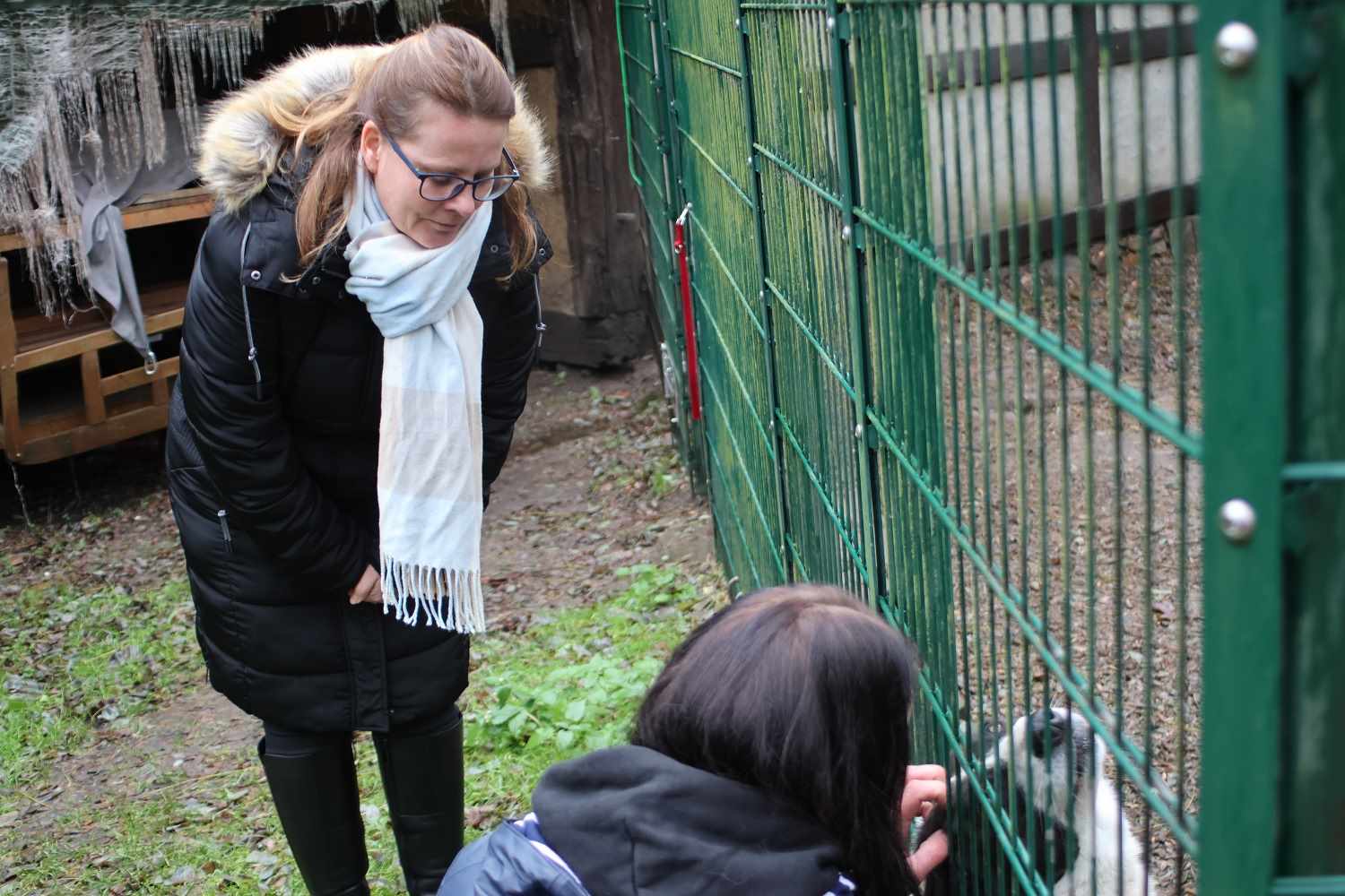 tierheim bad belzig, tierisch belzig e.v.,tier hilfehof samtschnute