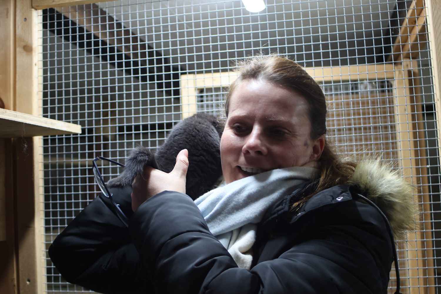 tierheim bad belzig, tierisch belzig e.v.,tier hilfehof samtschnute