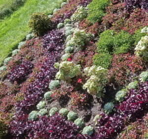 park wiesenburg,schloss wiesenburg,parkbrigade,echiverien