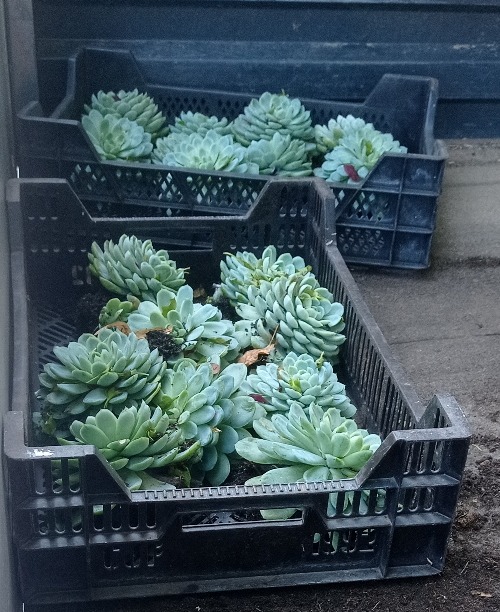 park wiesenburg,schloss wiesenburg,parkbrigade,echiverien