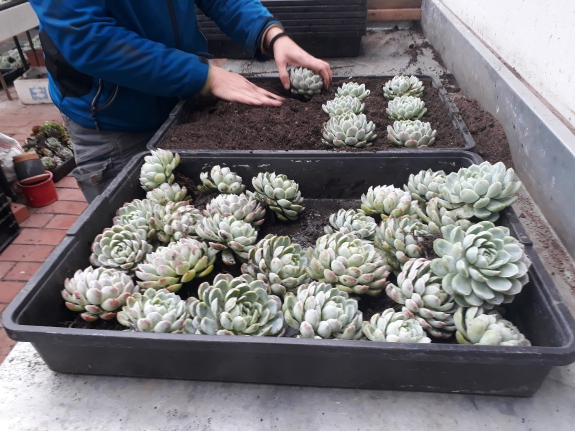 park wiesenburg,schloss wiesenburg,parkbrigade,echiverien