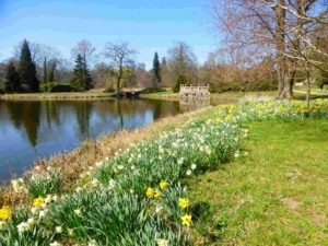 Park Wiesenburg,schlosspark wiesenburg,teppichbeete
