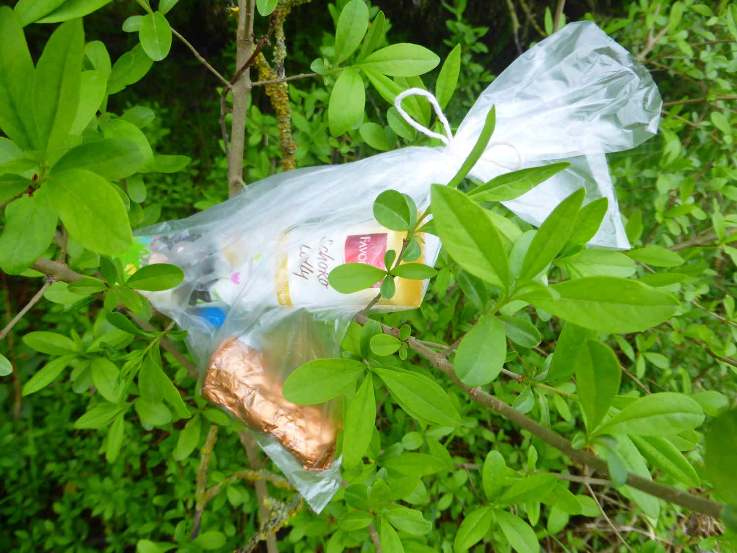 ostern,reetz, feuerwehr reetz,dorfverein pro reetz,msc burg eisenhard,mühlenberg,kita zwergenland