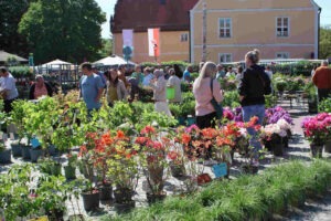 blumenmarkt wiesenburg,park wiesenburg, drahtzieherei wiesenburg,kfl wiesenburg,rote villa wiesenburg,alte brauerei wiesenburg,schloss wiesenburg,grundschule am schlosspark,dings und bums