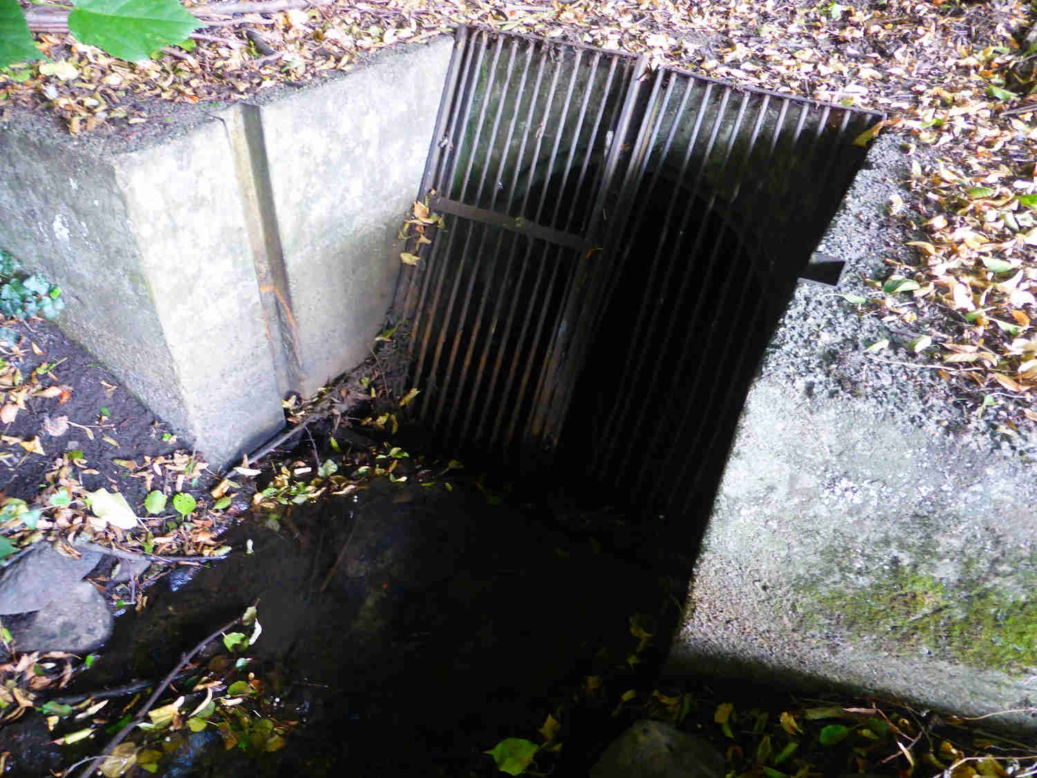 denkmal des monats,wiesenburger brücke,bad belzig,burg eisenhardt,reißigerhaus,robert pulz,ag historische stadtkerne