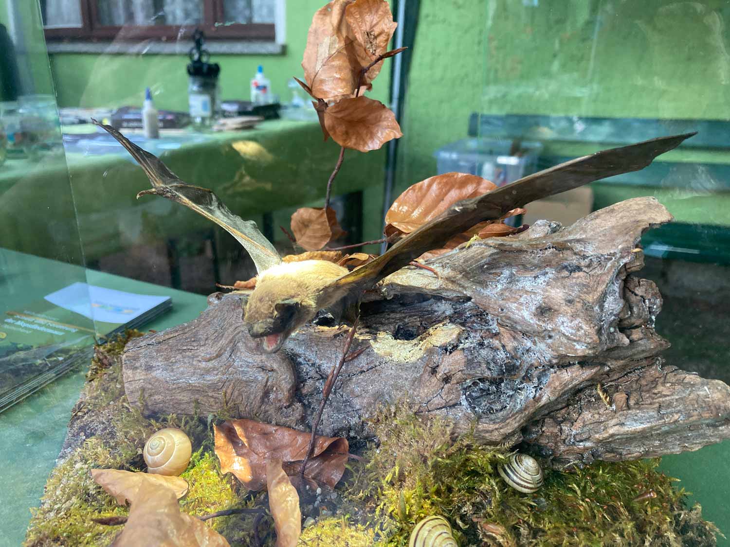 Bad Belzig, Badnight