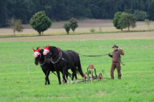 flämingmarkt, görzke,handwerkerhof görzke,kreisleistungspflügen,landkreis postdam mittelmark,lag hoher fläming,kreiserntefest