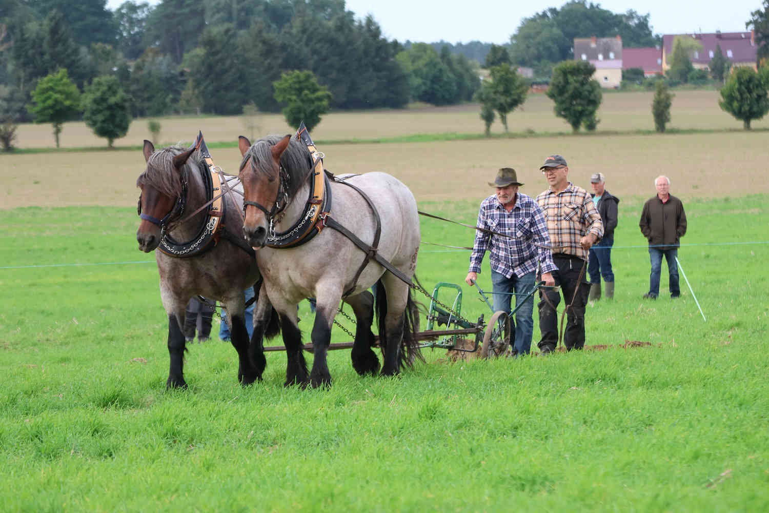 flämingmarkt, görzke,handwerkerhof görzke,kreisleistungspflügen,landkreis postdam mittelmark,lag hoher fläming,kreiserntefest