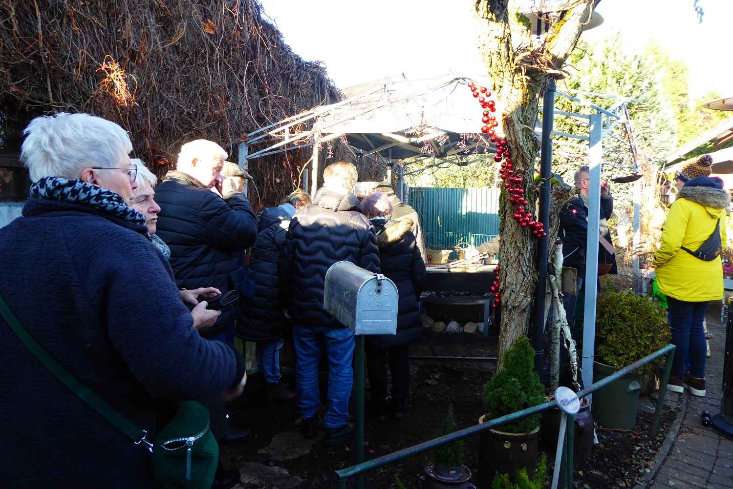 gärtnerei Köhler, reetzerhütten,adventsausstellung