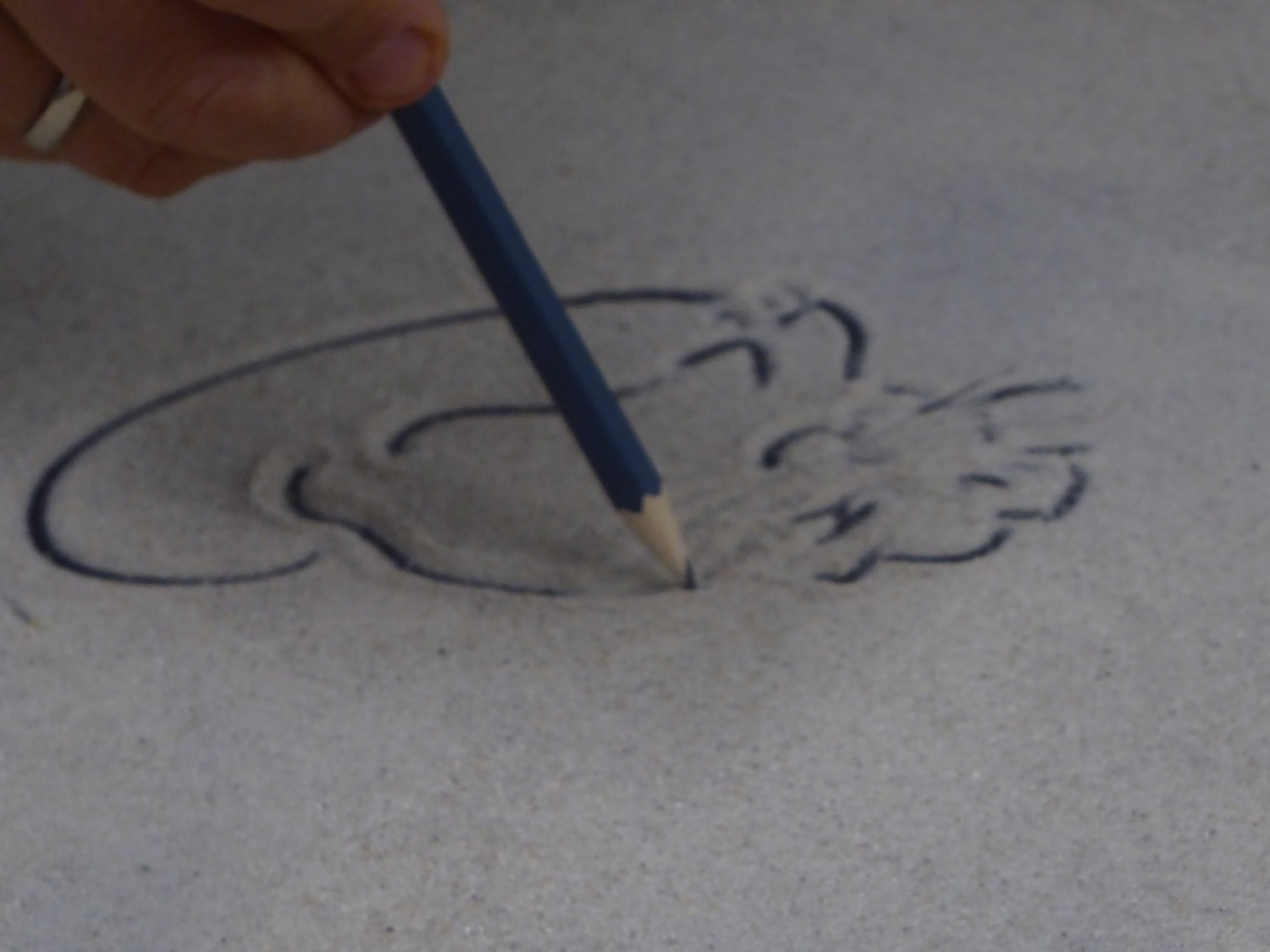 kunstverein hoher fläming,geschwister scholl grundschule, bad belzig,burg eisenhardt