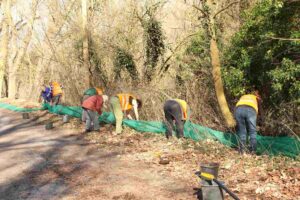 Krötenwanderung,krötenzäune,naturwacht baitz