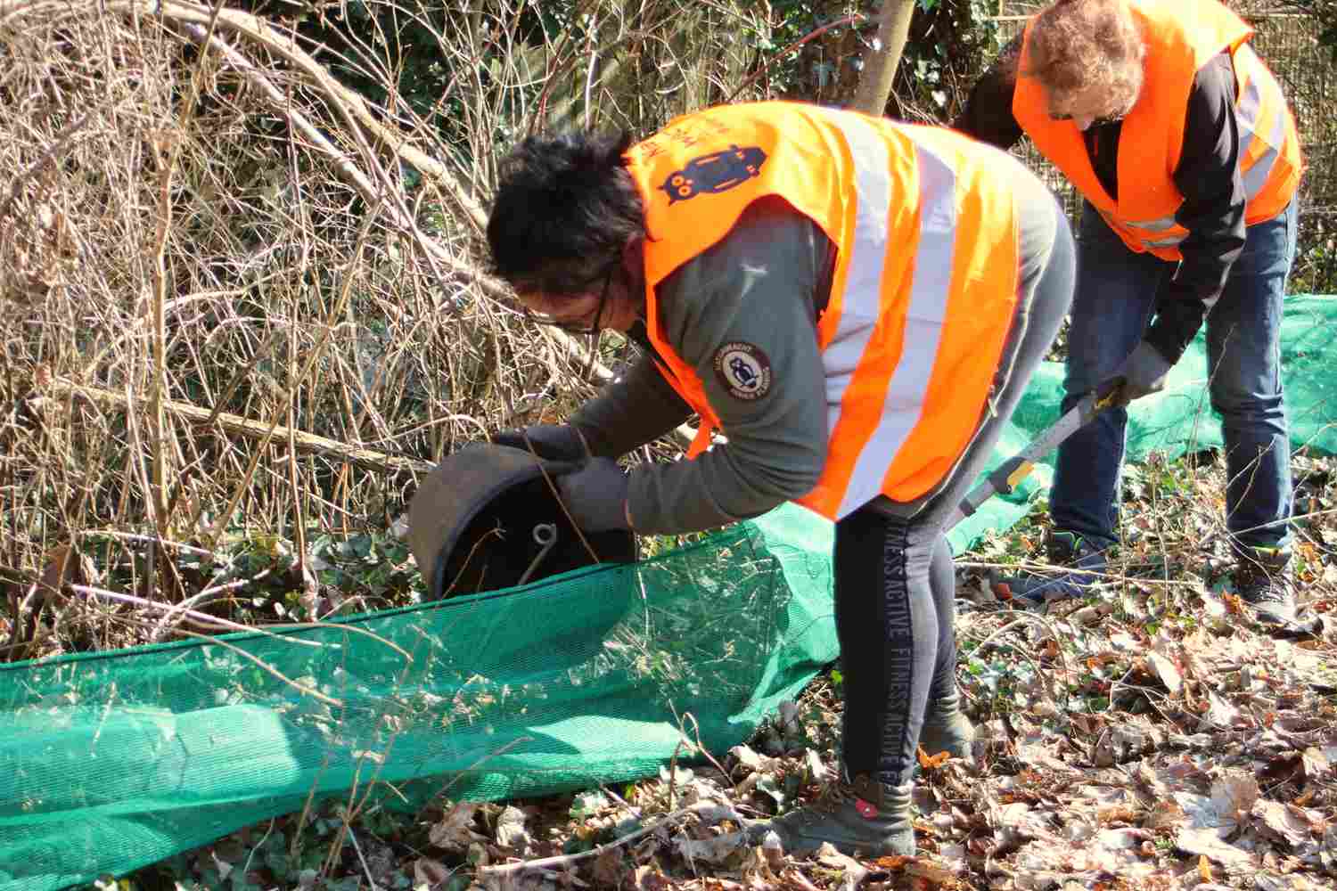 Krötenwanderung,krötenzäune,naturwacht baitz