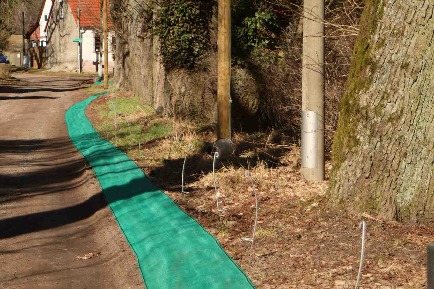 Krötenwanderung,krötenzäune,naturwacht baitz