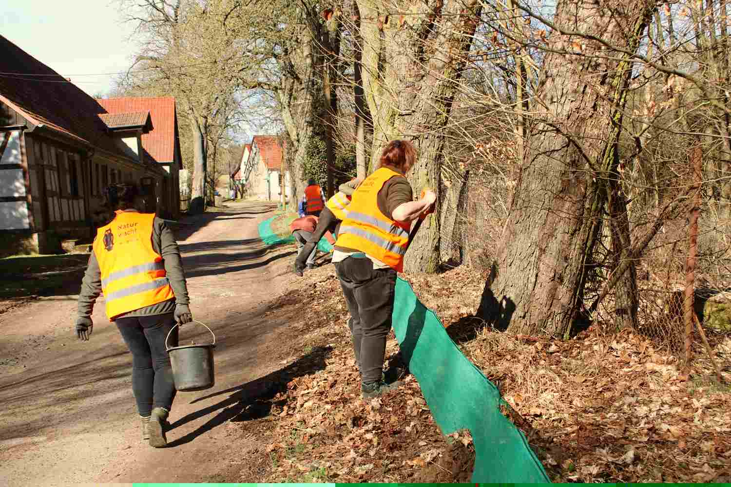 Krötenwanderung,krötenzäune,naturwacht baitz
