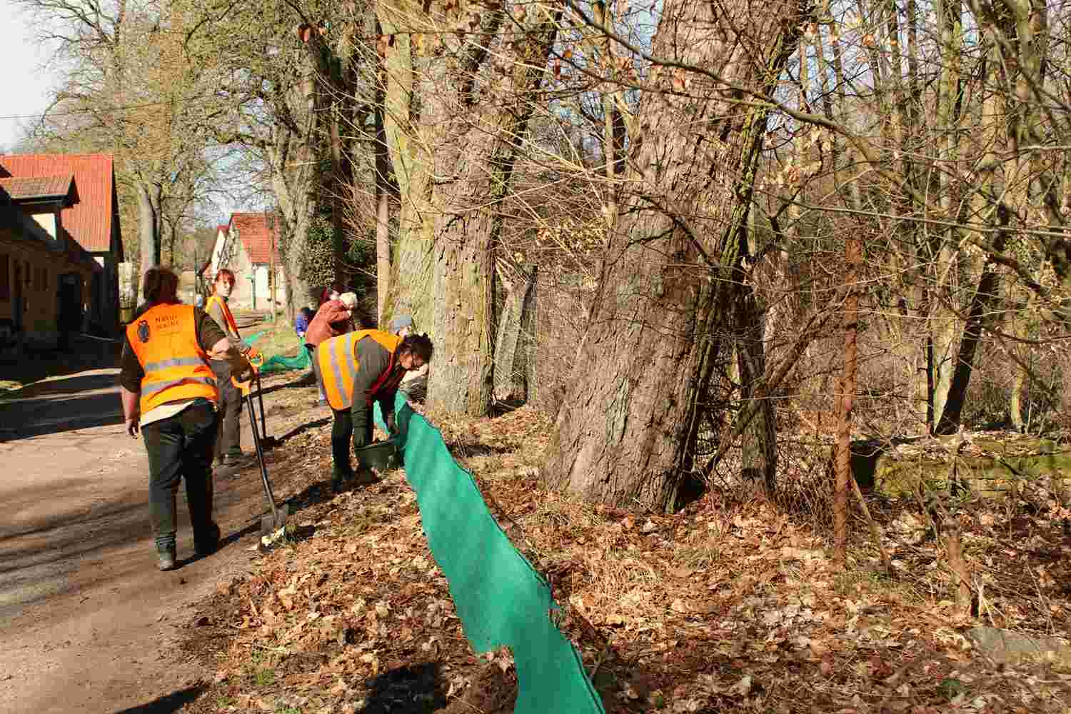 Krötenwanderung,krötenzäune,naturwacht baitz