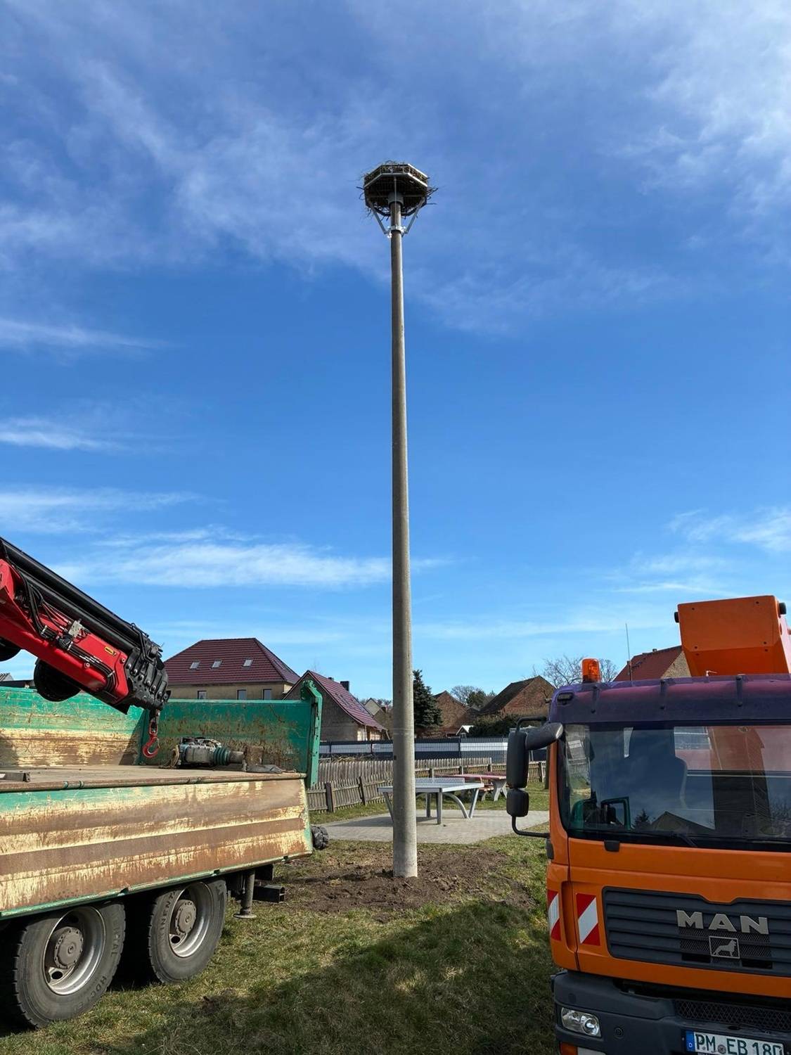 storchennest reetzerhütten, nabu, e.dis, elektro beelitz
