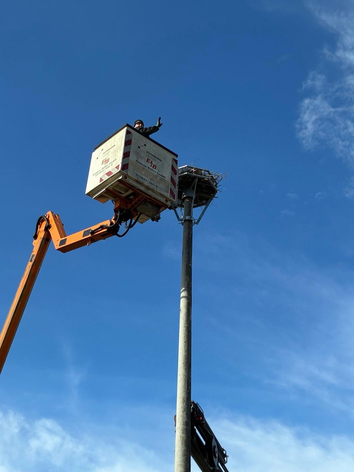 storchennest reetzerhütten, nabu, e.dis, elektro beelitz
