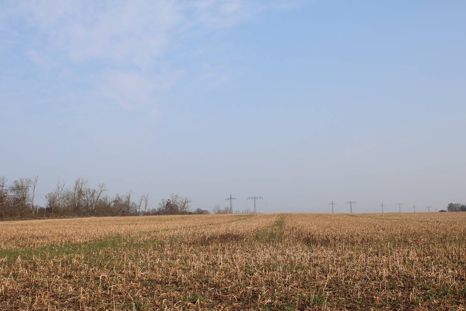 bad belzig, hauptausschuss bad belzig,lübnitz, weitzgrund,windpark bad belzig