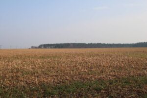 bad belzig, hauptausschuss bad belzig,lübnitz, weitzgrund,windpark bad belzig