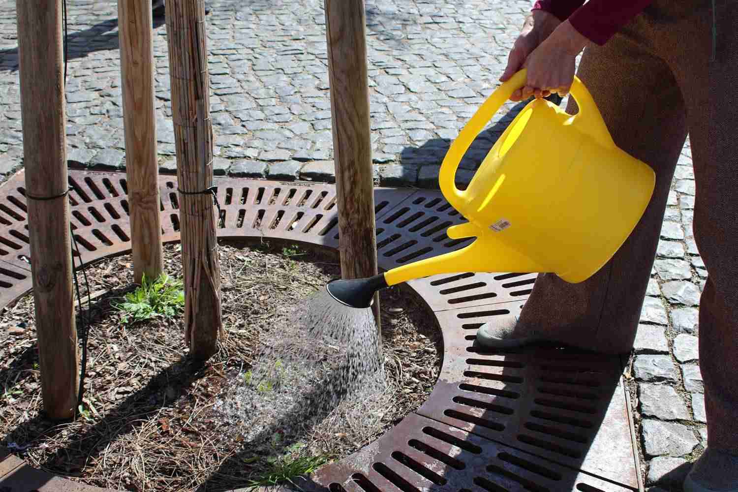 bad belzig giesst,neuland21,kreisvolkshochschule,wassermeisterei, zukunftsschusterei,ankerpunkt,deutsche stiftung für engagement und ehrenamt,bad belzig