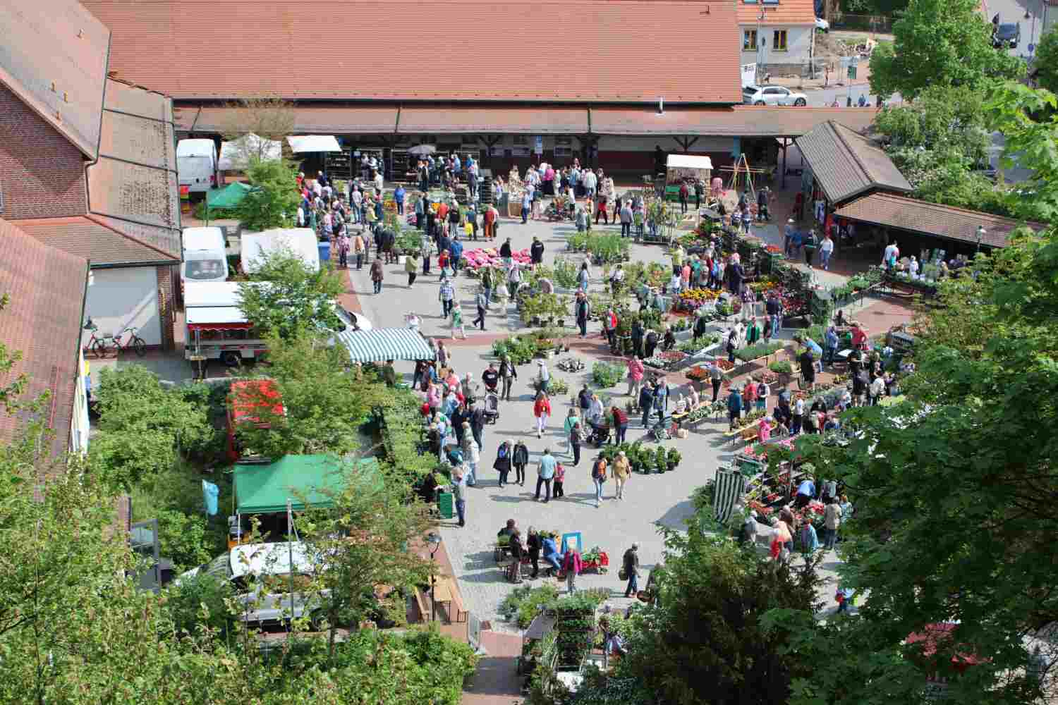 blumenmarkt wiesenburg,muttertag,gemeinde wiesenburg/mark,schloss wiesenburg