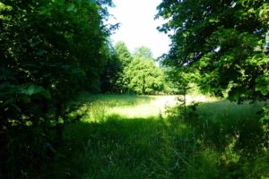 alte Hölle, hauptausschuss wiesenburg/mark, ortsbeirat reetzerhütten