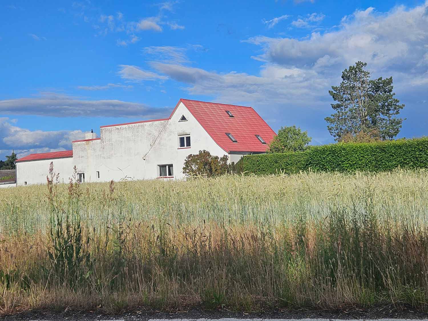 Landpartie, Cammer