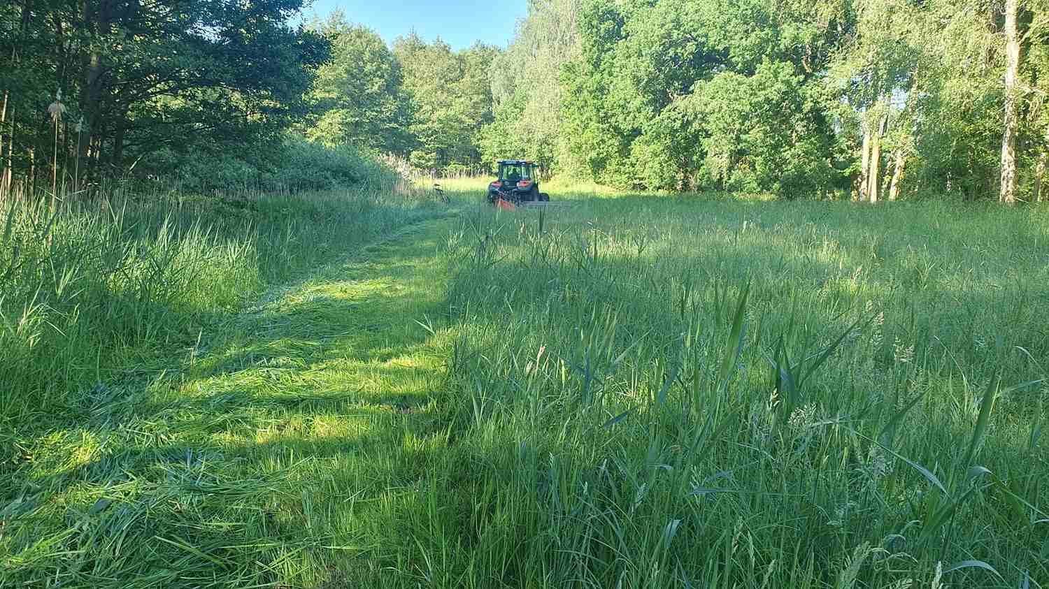 burgwiesen,planetal,nabu bad belzig,naturparkverwaltung hoher fläming