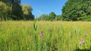 burgwiesen,planetal,nabu bad belzig,naturparkverwaltung hoher fläming