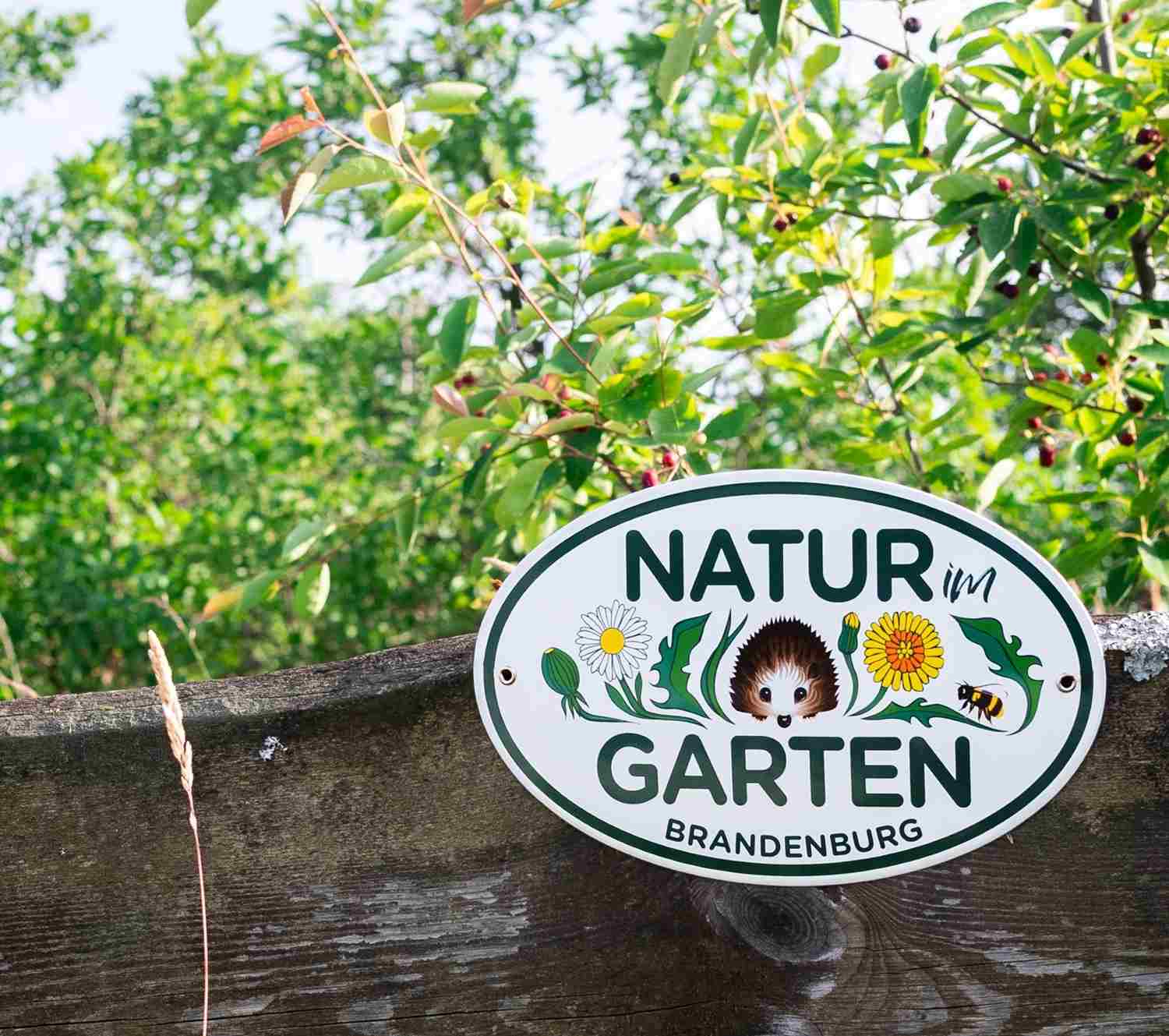 natur im garten, naturpark hoher fläming,naturparkverein hoher fläming