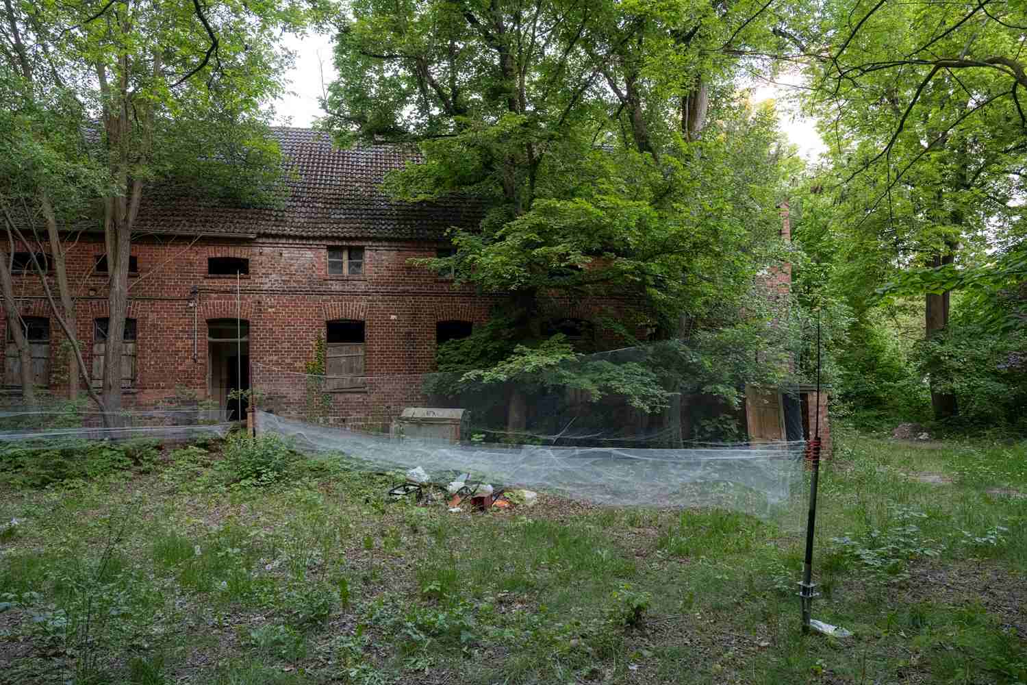 brauerei wiesenburg,fledermäuse,gemeinde wiesenburg/mark