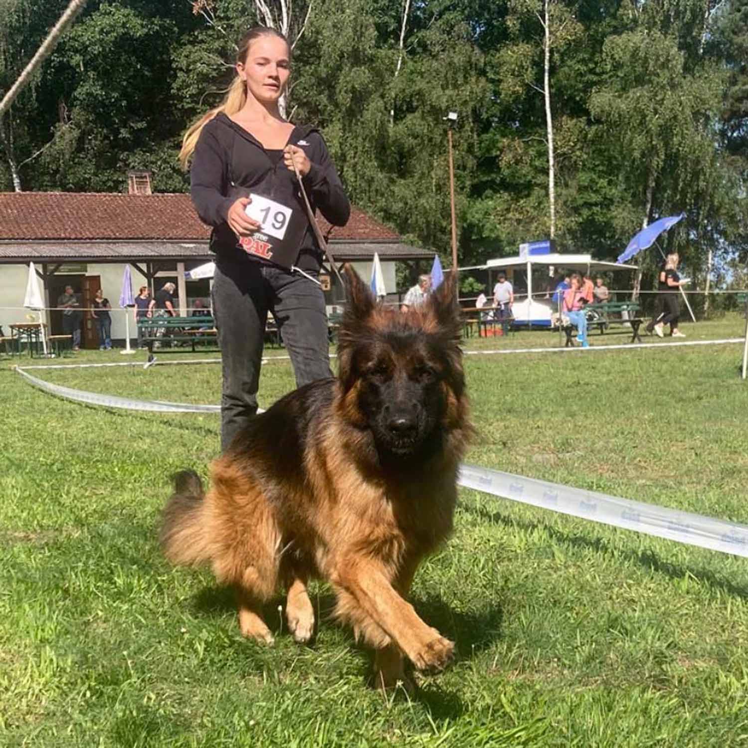 Treuenbrietzen, Hundesatzung