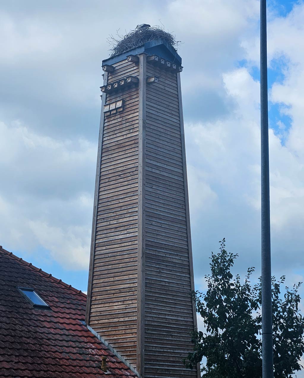 Störche, Wenzlow