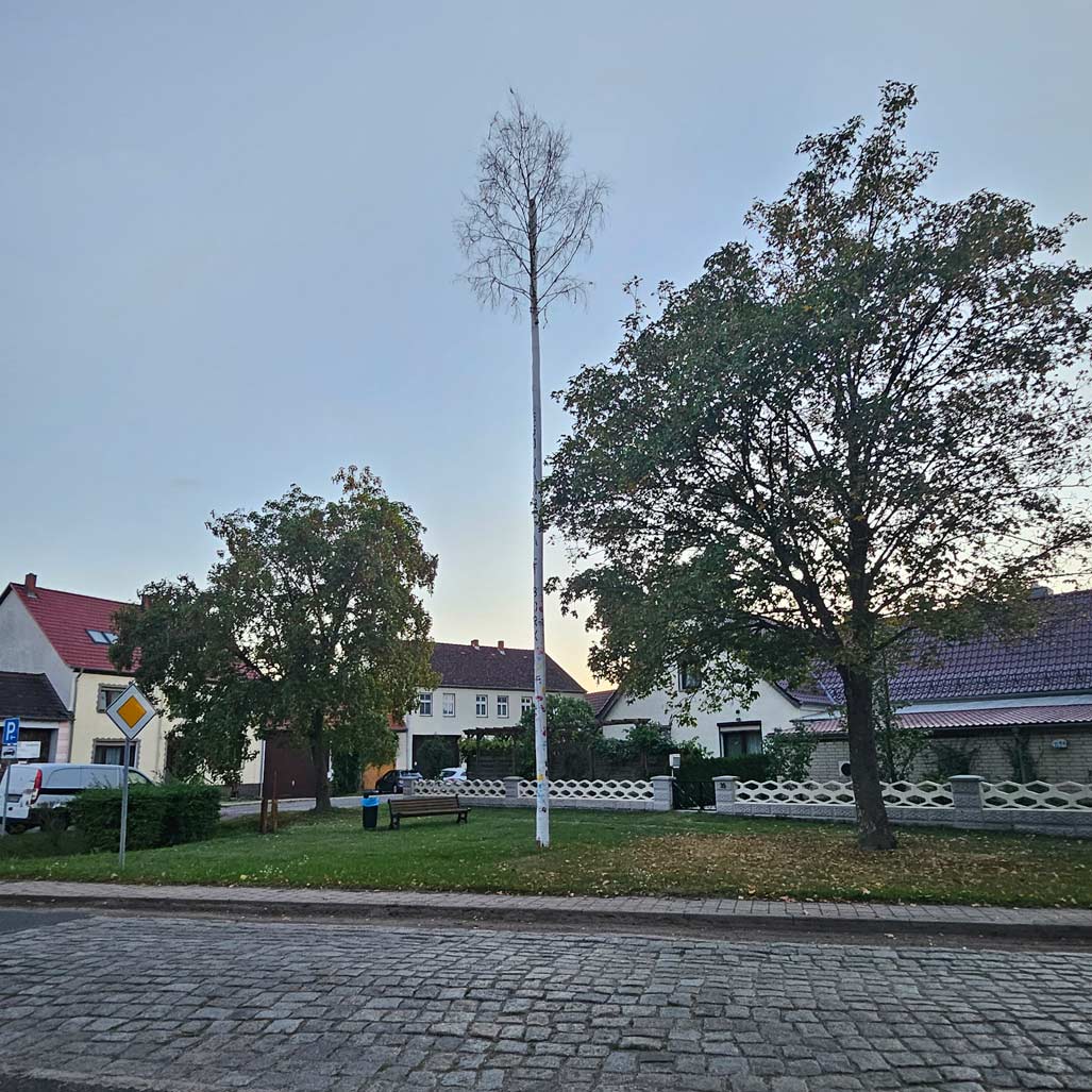 Alt Bork, Maibaum, Ortsbeirat Alt Bork