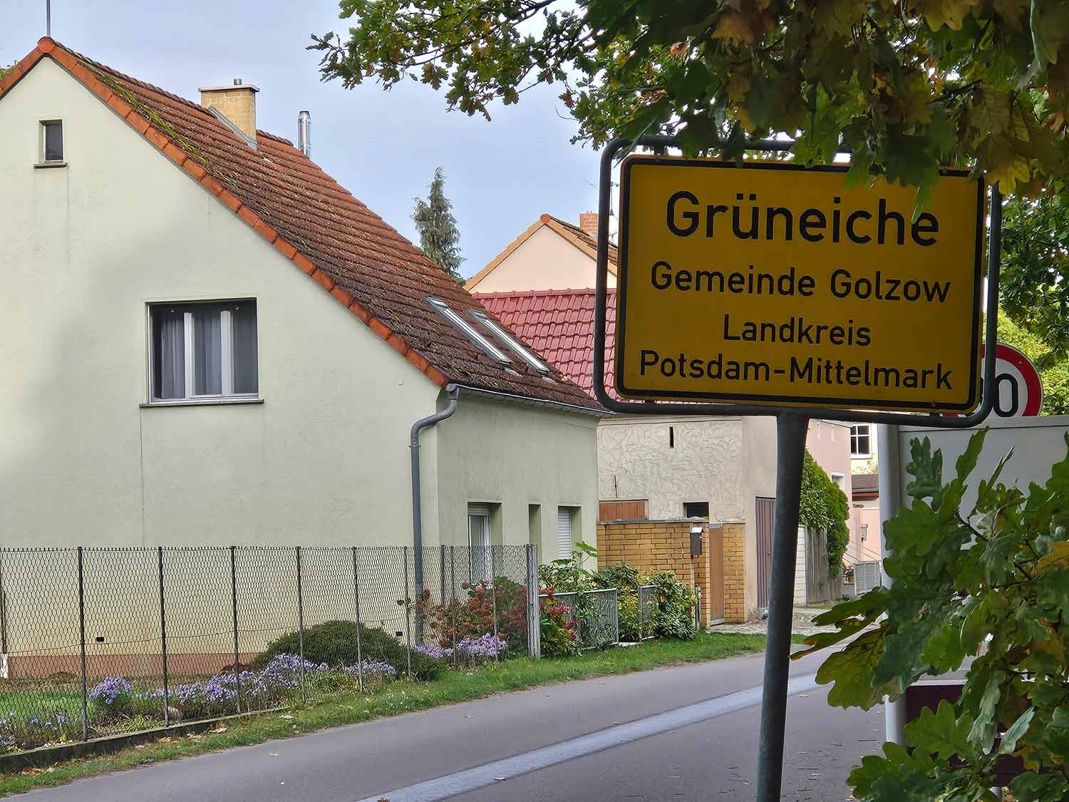 Grüneiche